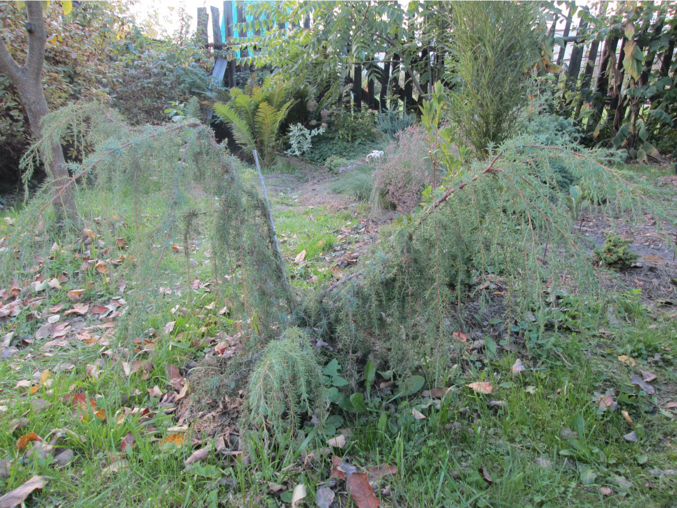 IMG 3684.JPG