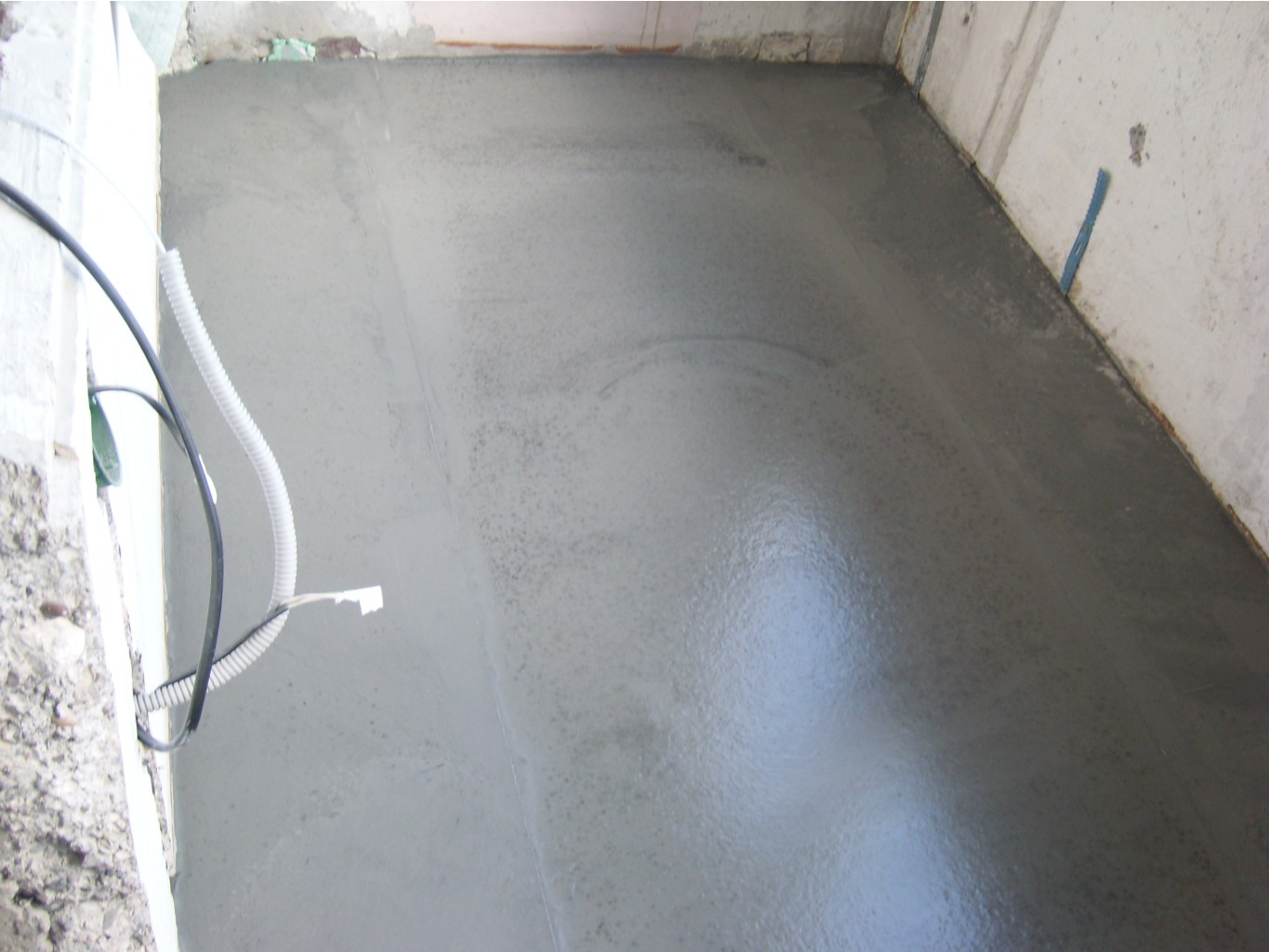 SL279241.JPG