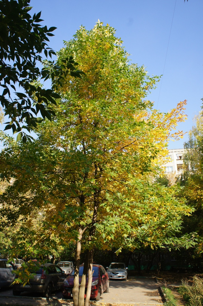 DSC07290.JPG