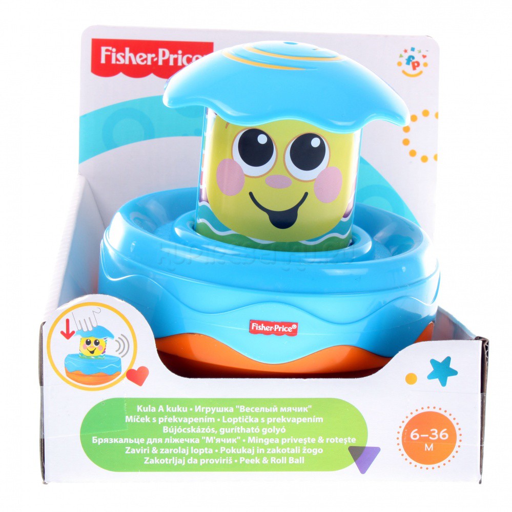 Y4295 FISH-PR  