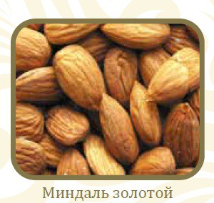 Миндаль.jpg