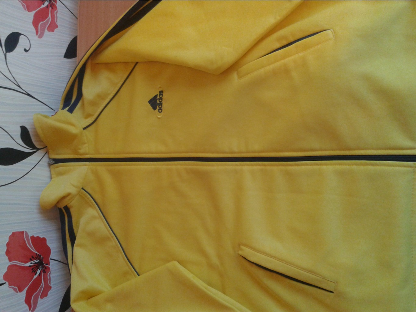 2015-10-07 16.02.34.jpg