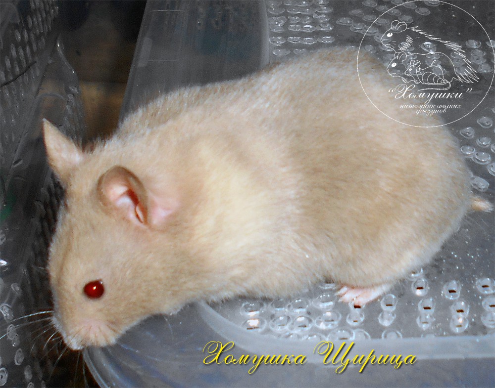 DSCN0139.JPG