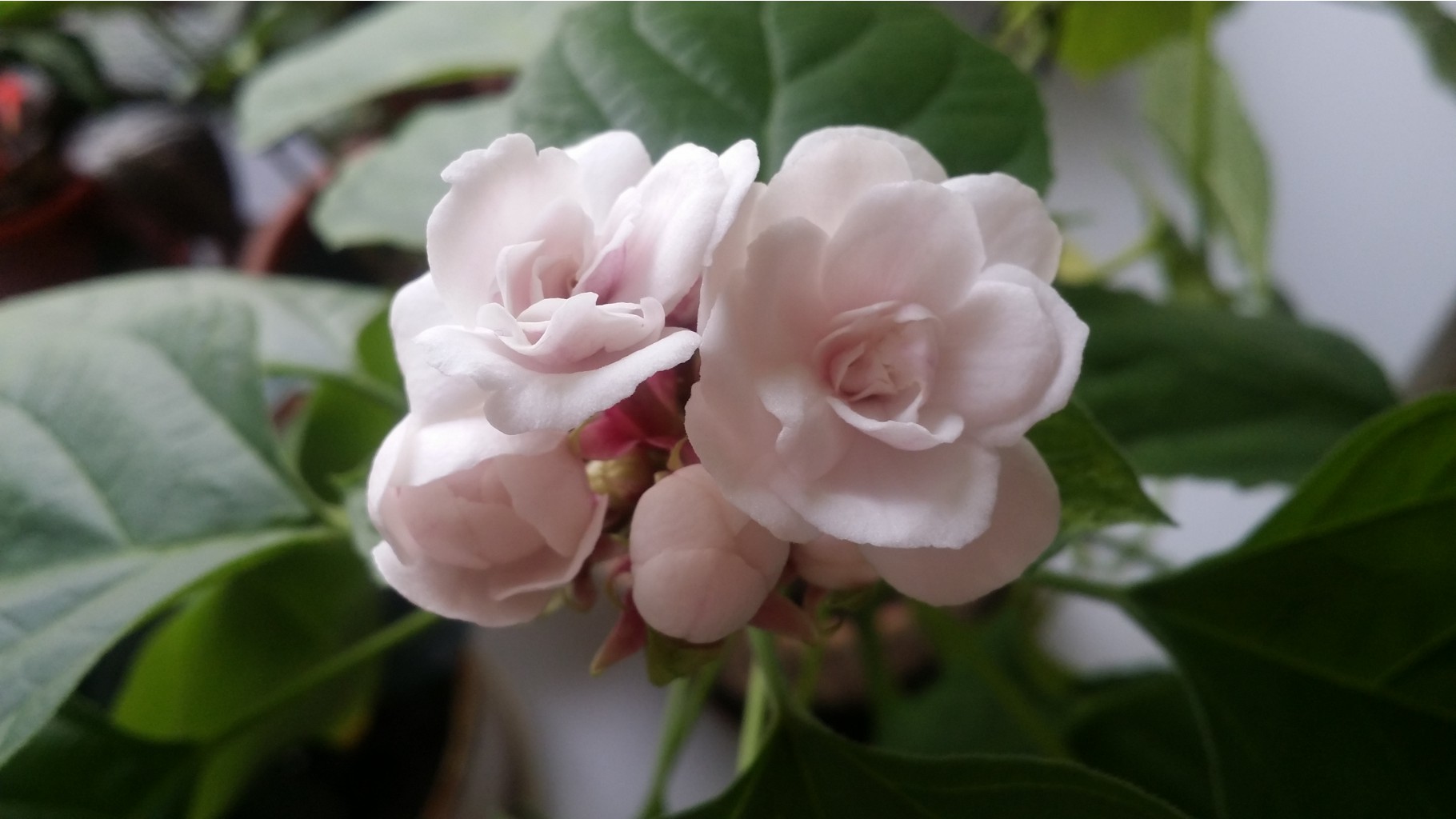 20151018 100130.jpg