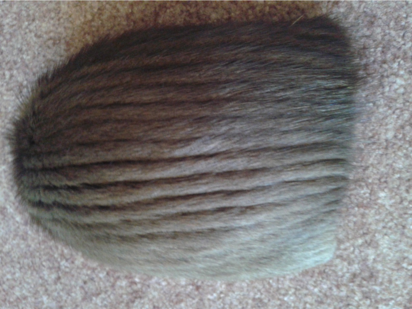 20151006 092846.jpg