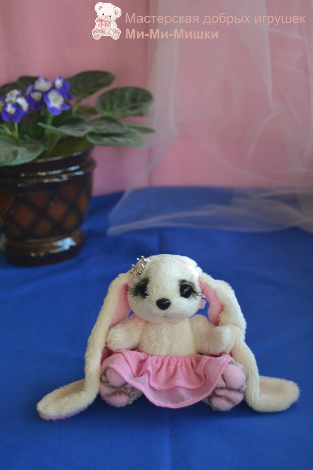 DSC 0379 1.jpg