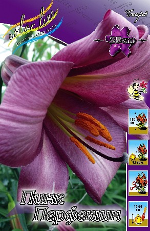 40,86.   (   5 .,   1.).jpg