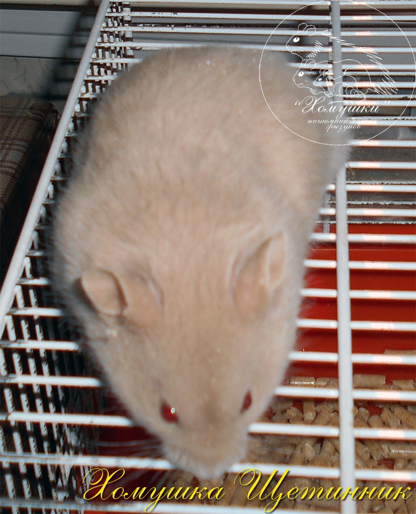 DSCN0125.JPG