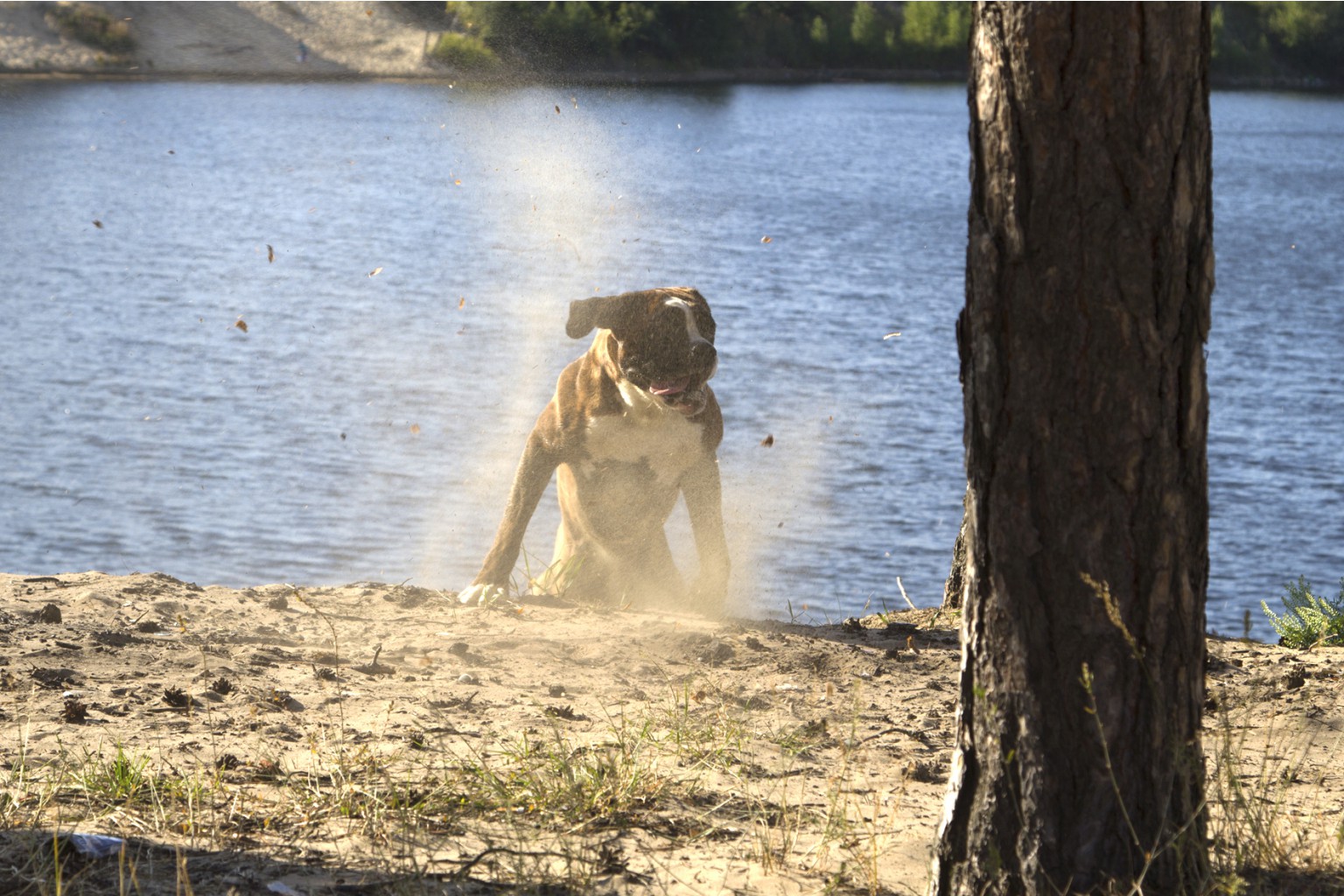 LR-0820 20x30 (1).jpg