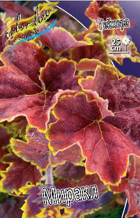 254,7.  (   1 .,   1.).jpg