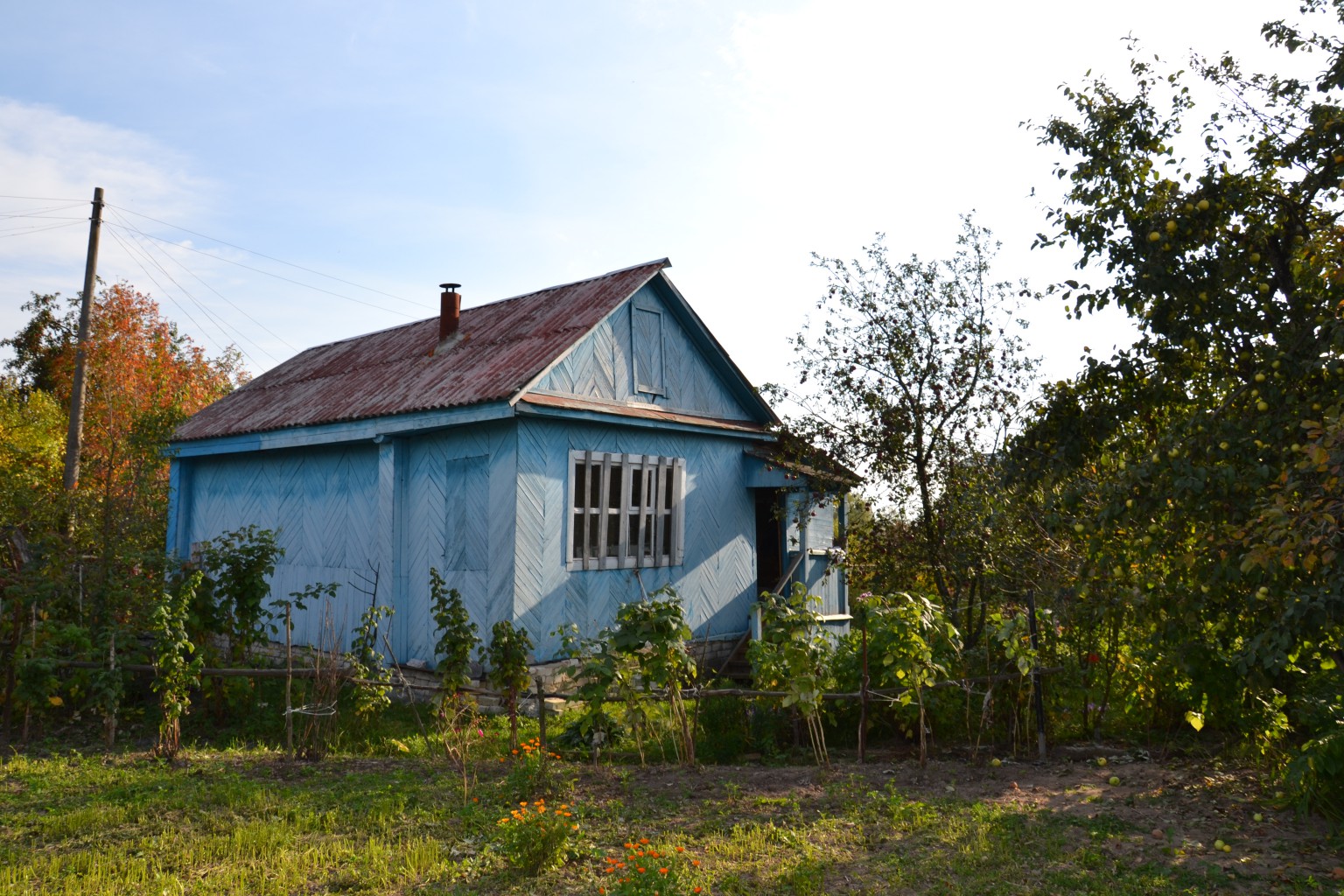 DSC 0012.JPG
