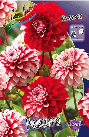 84,8.  (   1 .,   1.).jpg