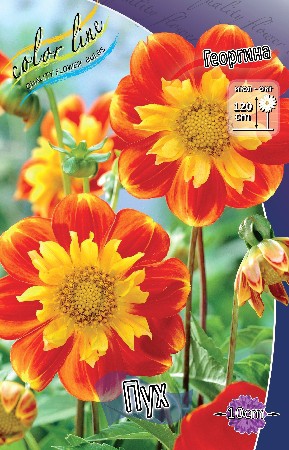 83,9.  (   1 .,   1.).jpg