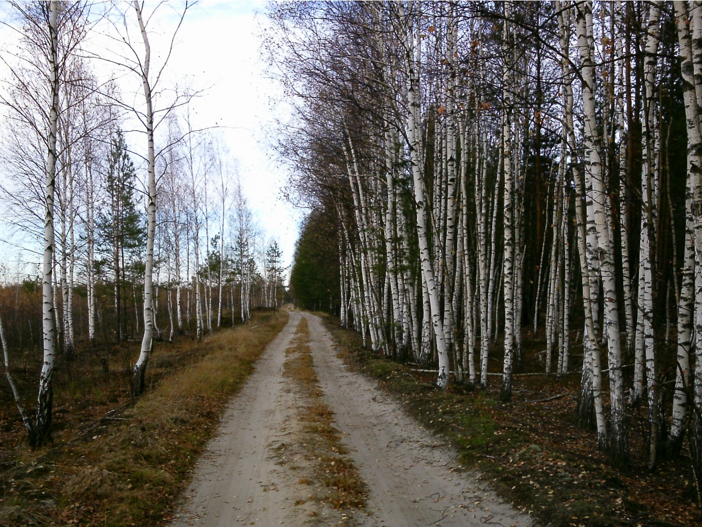 PTDC0177.JPG