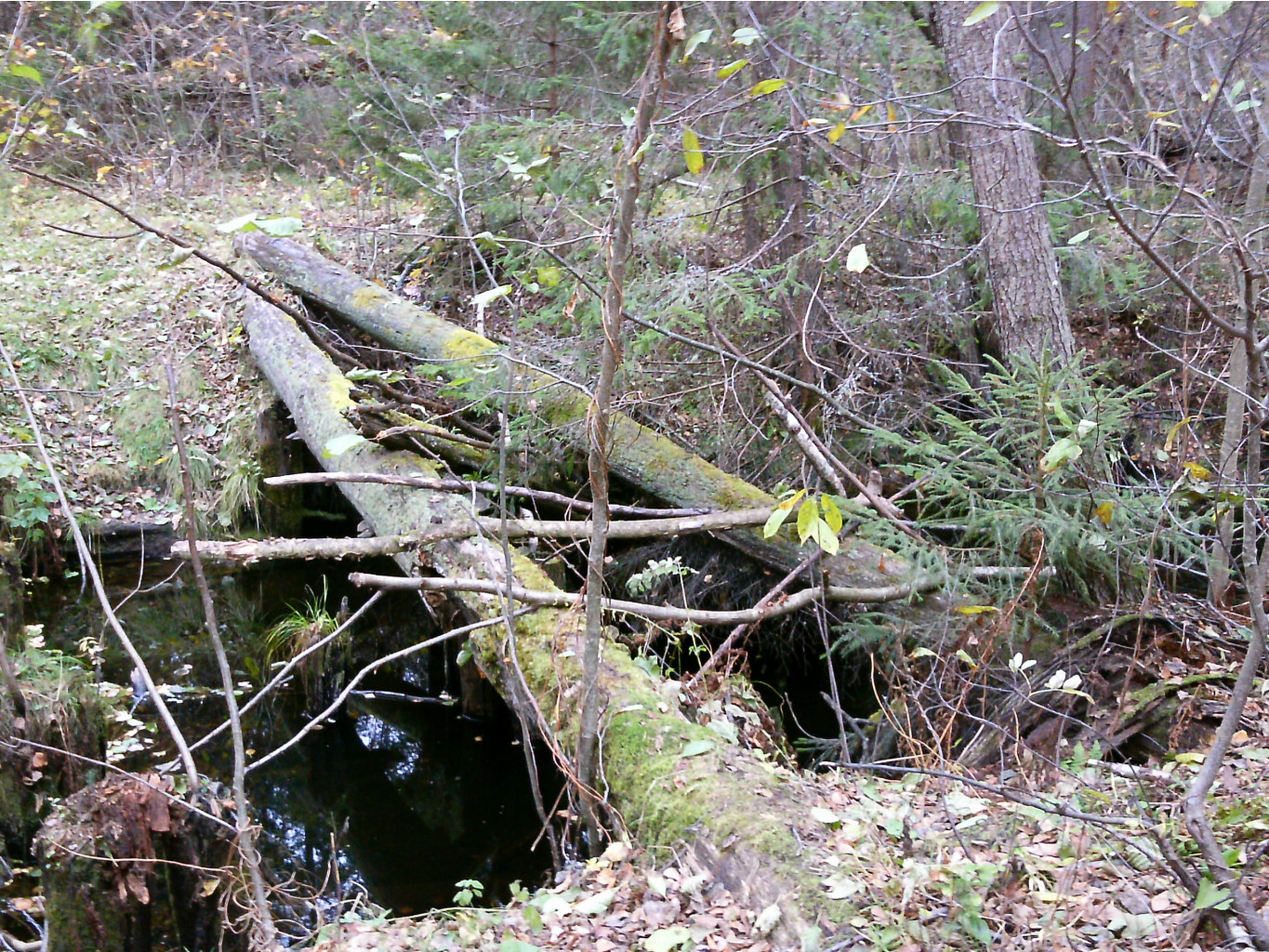 PTDC0140.JPG