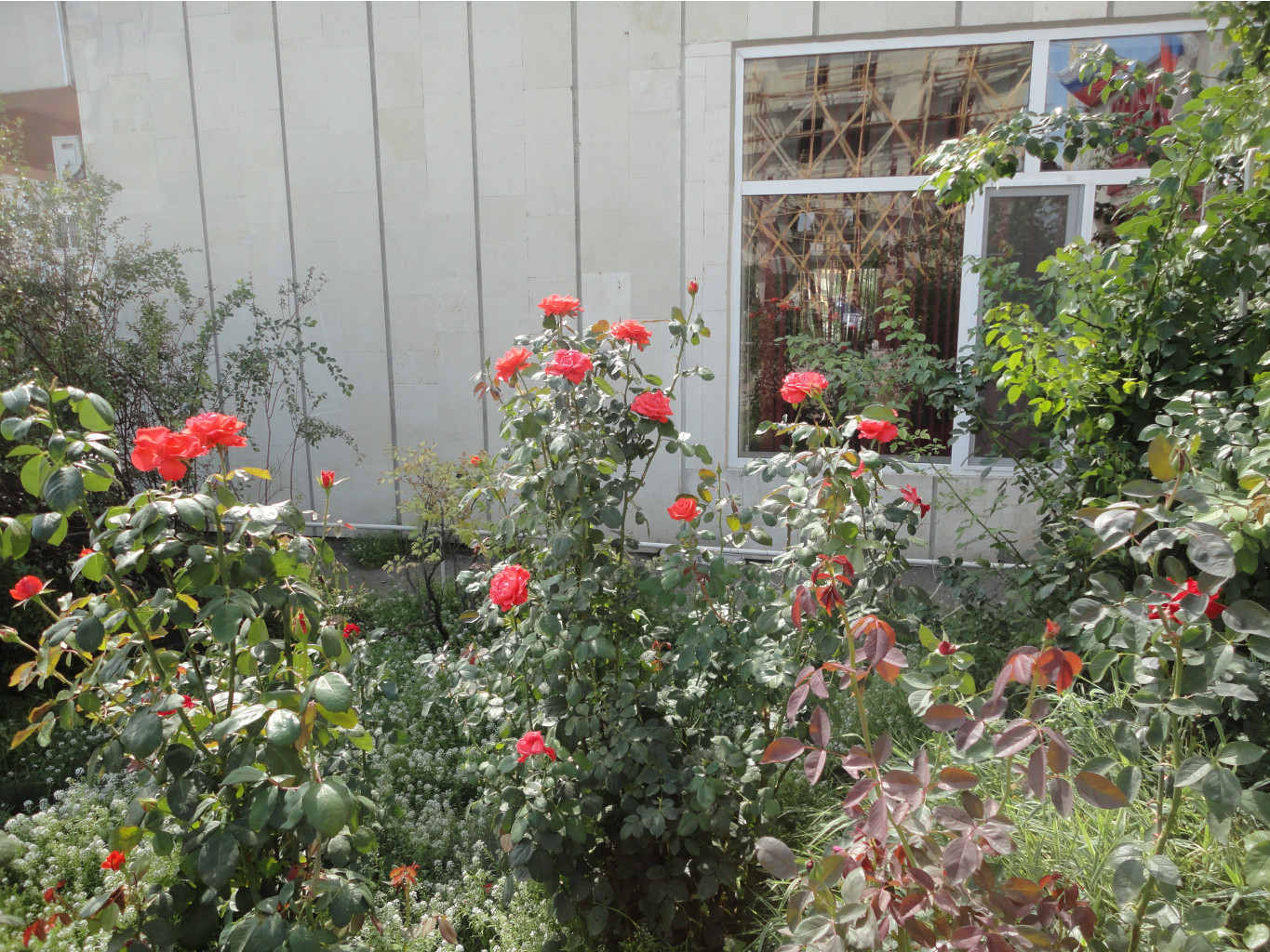 DSC08436.JPG