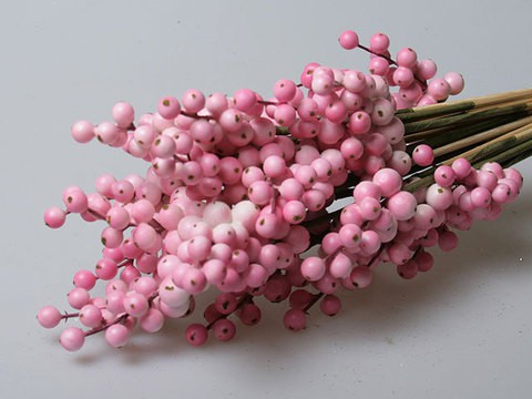 СНЕЖНОЯГОДНИК РОЗОВЫЙ 1017 65р.jpg