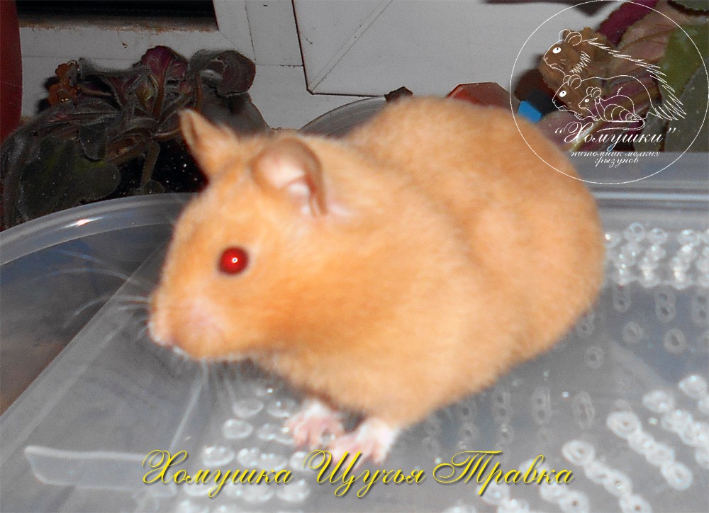 DSCN0135.JPG