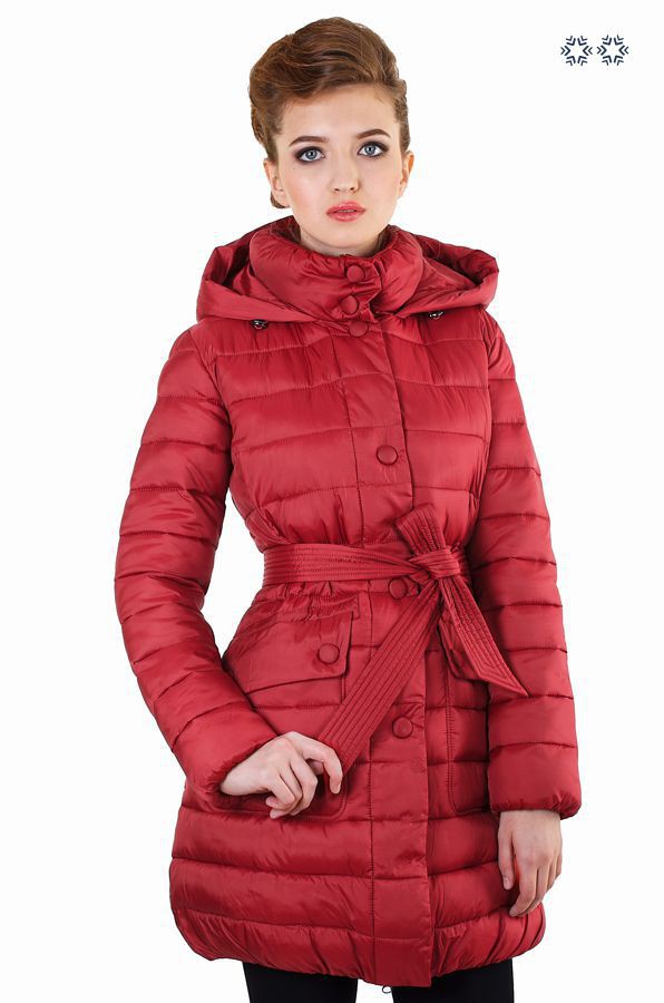 42-241 cardinal 2 5.jpg