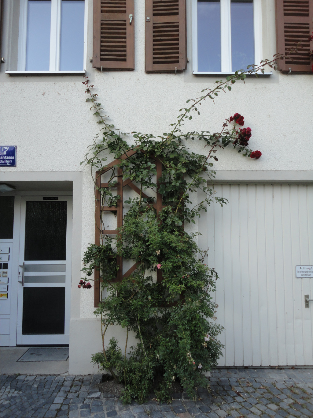 DSC08505.JPG