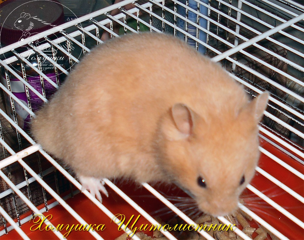DSCN0127.JPG