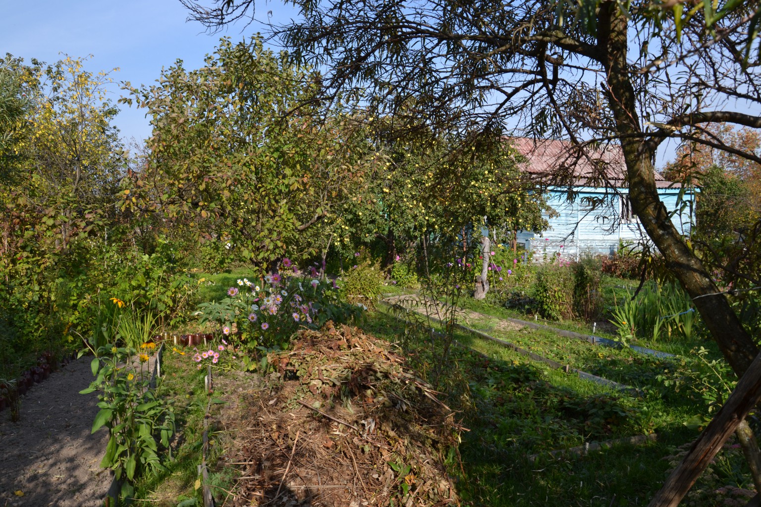DSC 0005.JPG