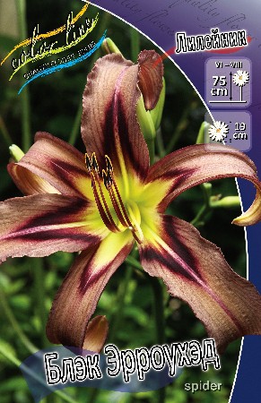 180.   (   1 .,   1.).jpg