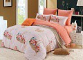 R23--617-  () 7260.jpg