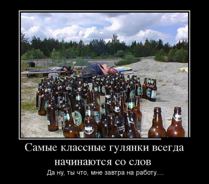 251.jpg