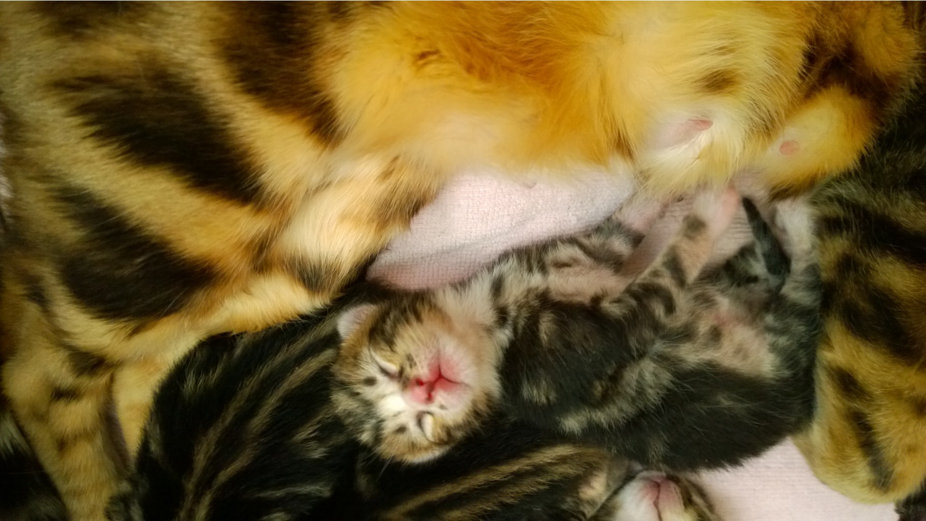 WP 20151002 13 07 42 Pro.jpg