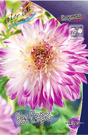 80,2.   (   1 .,   1.).jpg