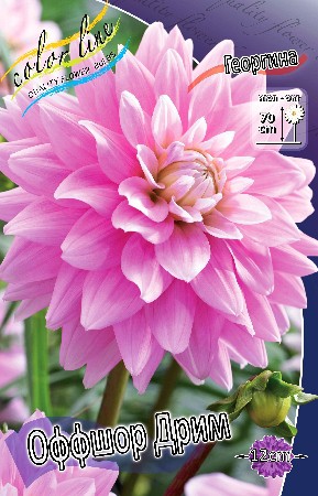 83,9.   (   1 .,   1.).jpg