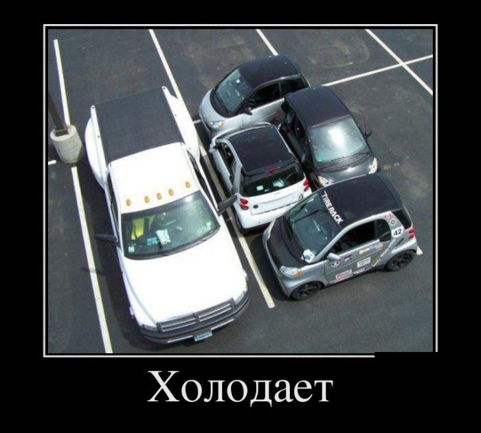 246.jpg