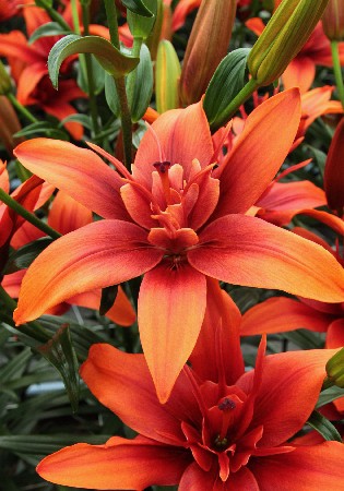 45,18.   (   5 .,   1.).jpg