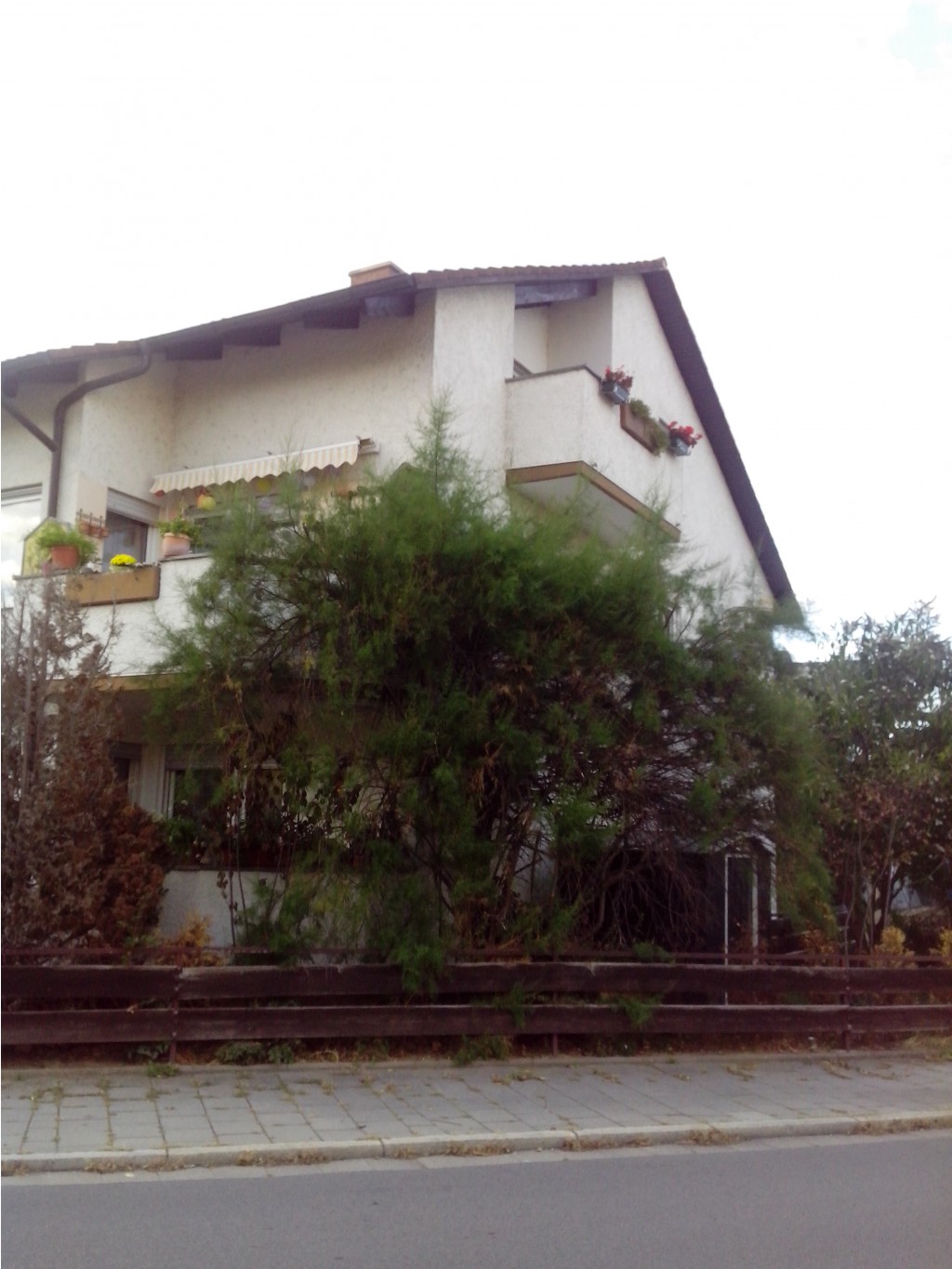 IMG 20150920 183227.jpg