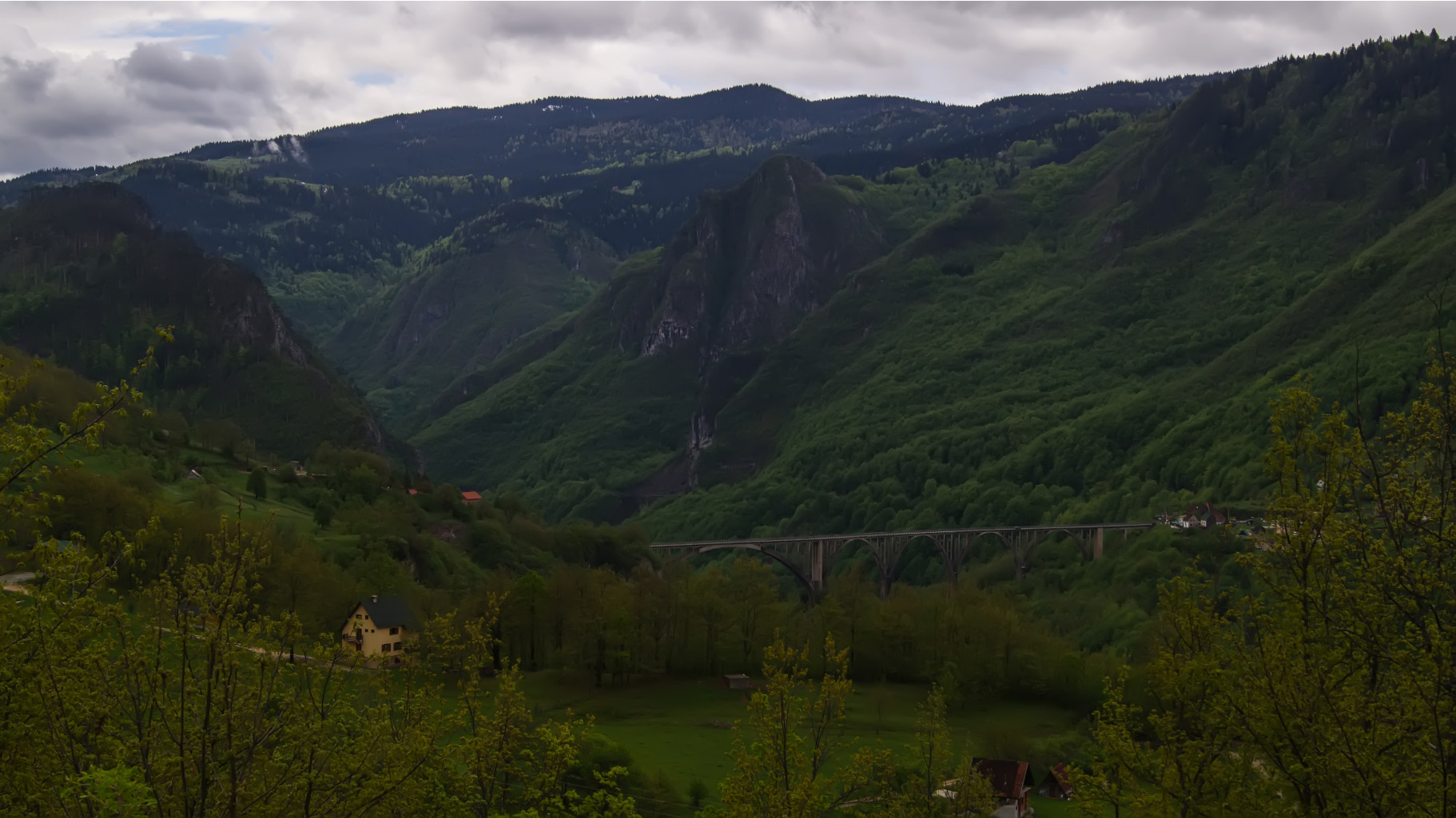 DSC08021.jpg