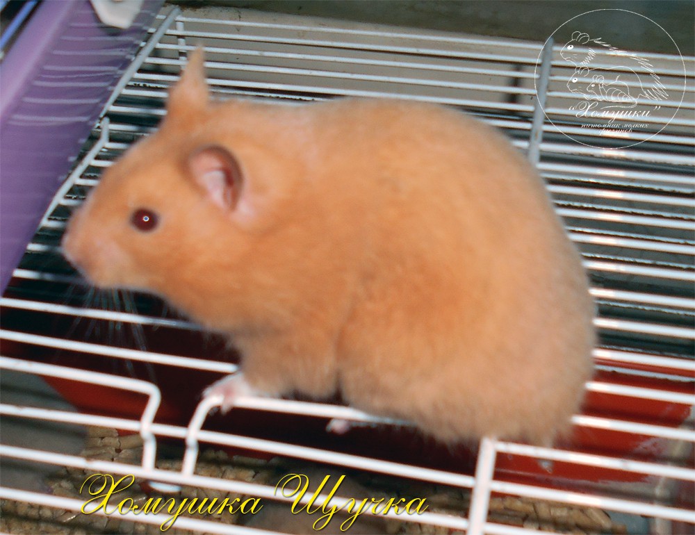 DSCN0132.JPG