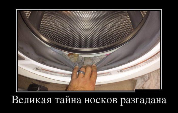 176.jpg