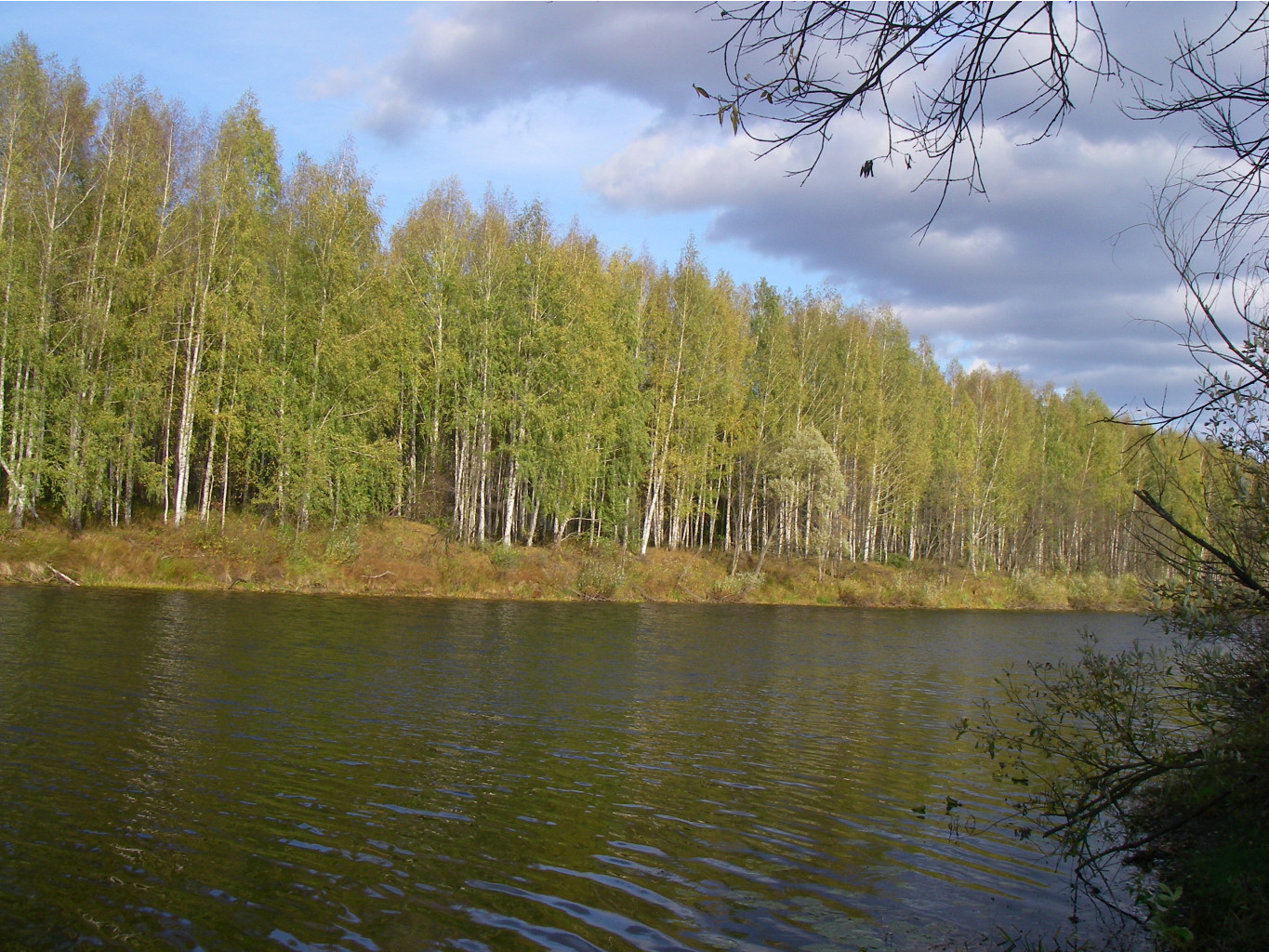 IMGP2367.JPG