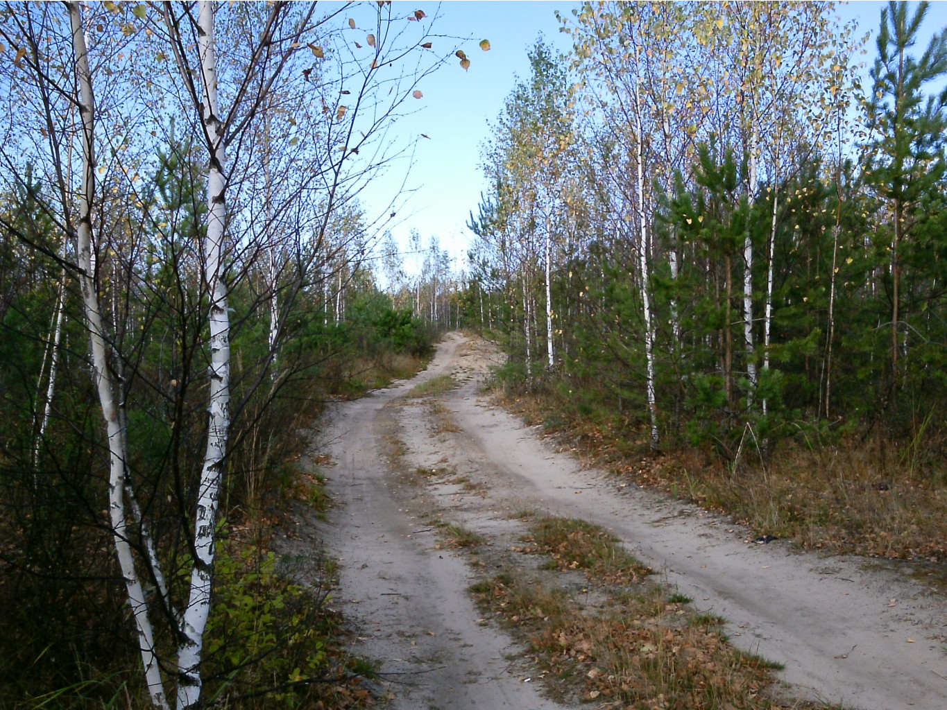 PTDC0067.JPG