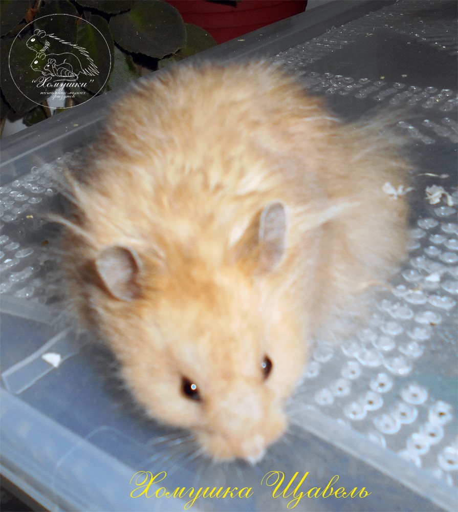 DSCN0129.JPG