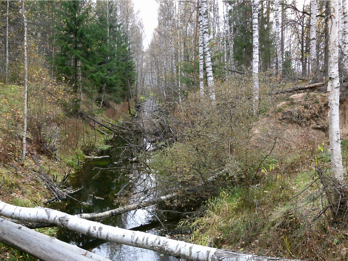 PTDC0127.JPG