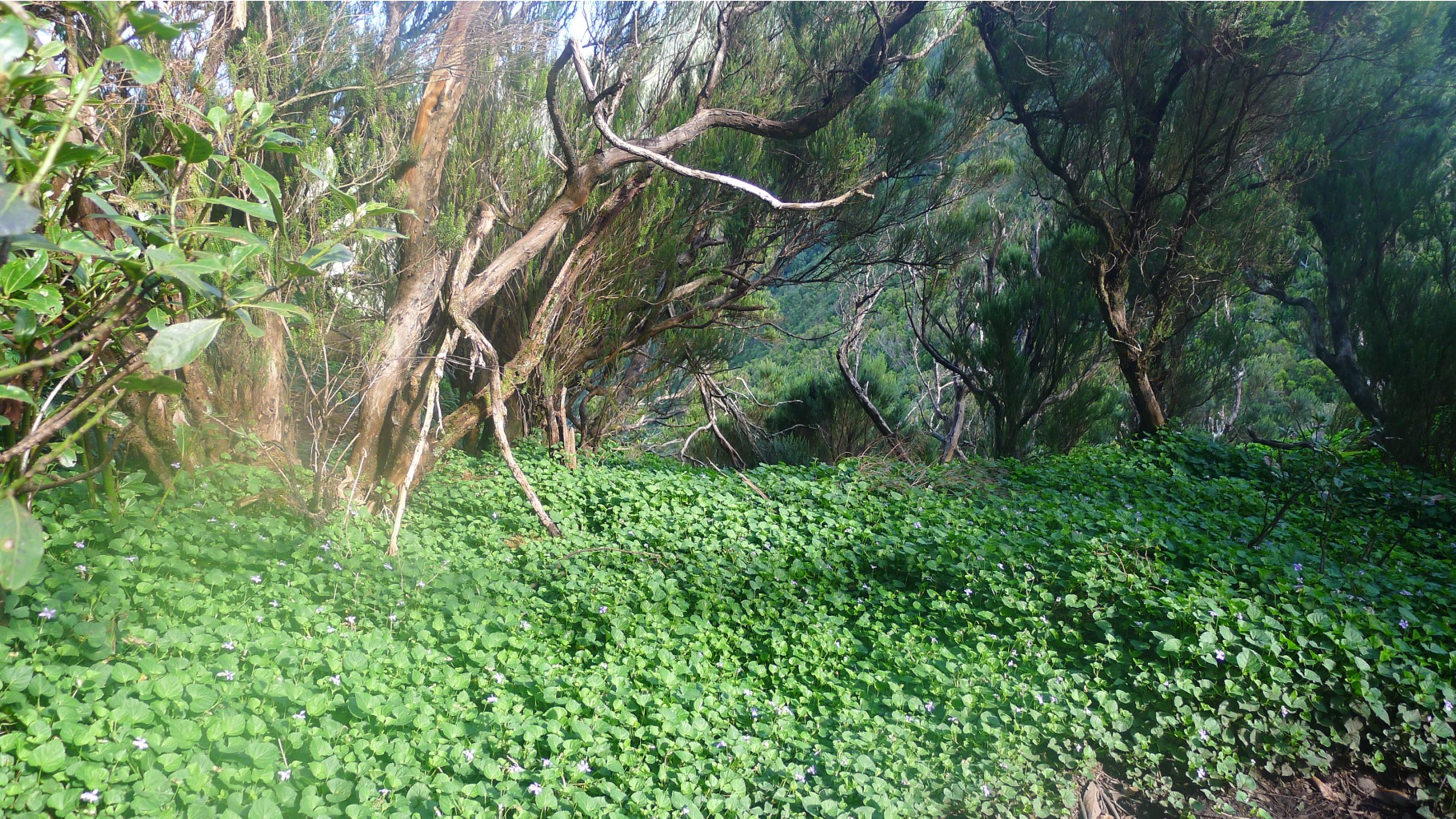 P1030429.JPG