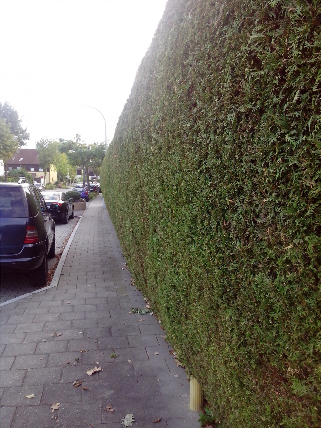 IMG 20150920 184053.jpg