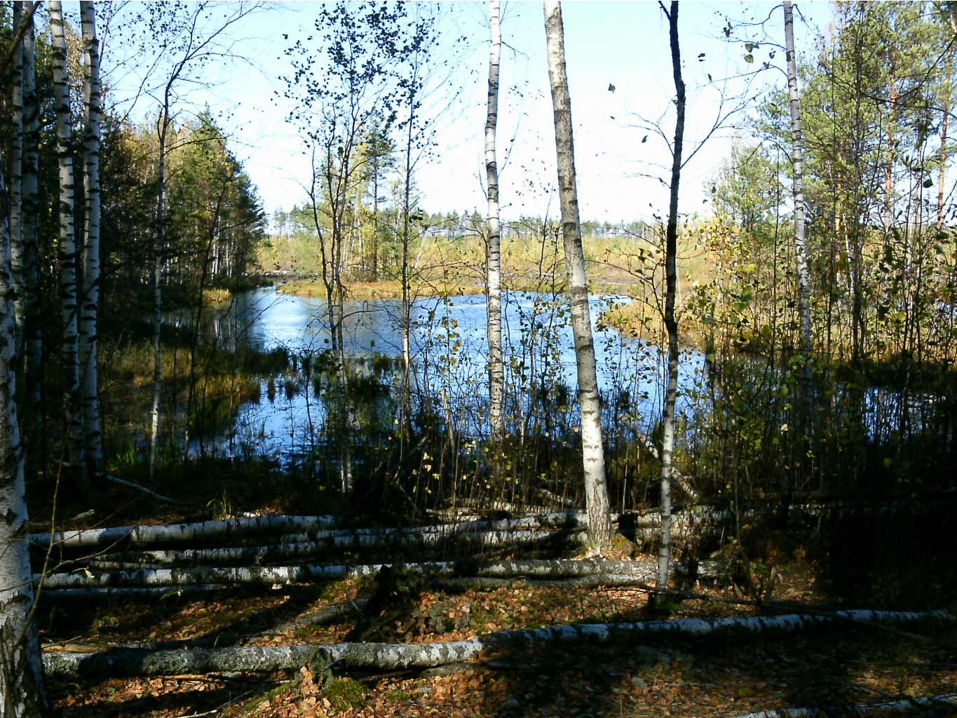 PTDC0090.JPG