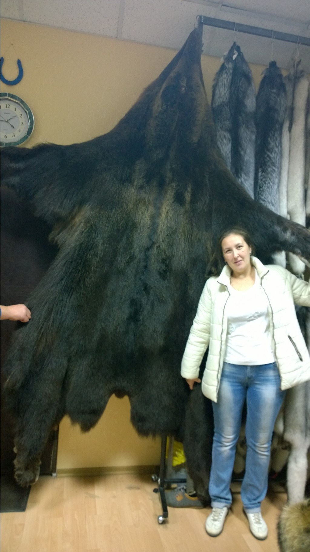 WP 20151001 13 44 00 Pro.jpg