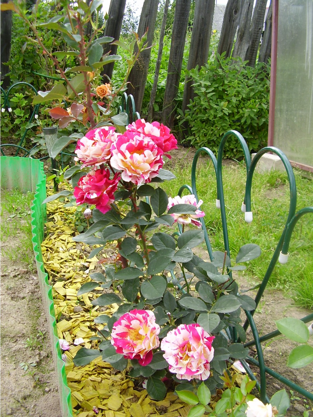 Maurice Utrillo (10).JPG