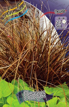 95,4.  (CAREX) (   1 .,   1.).jpg