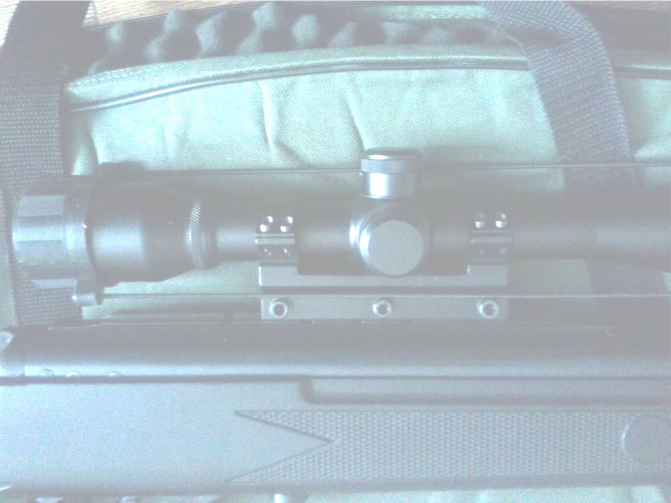 CAM00176 new.jpg