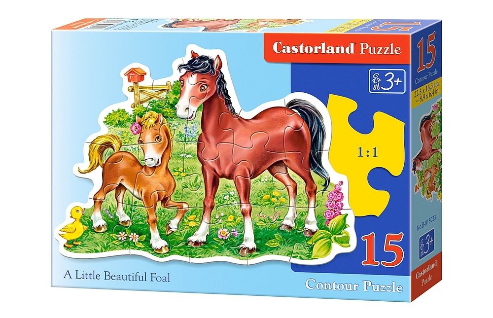 Castorland.  15 .B-015023  51,2.jpg